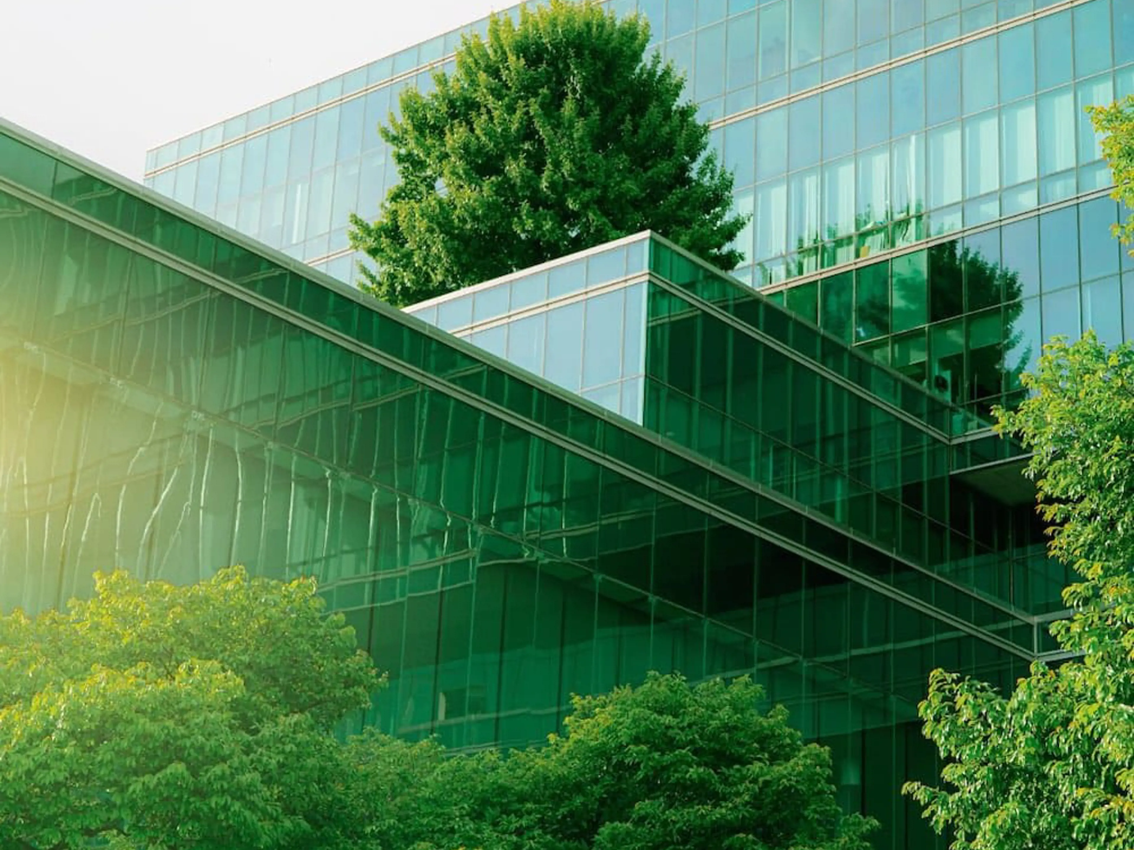 Green building with green trees