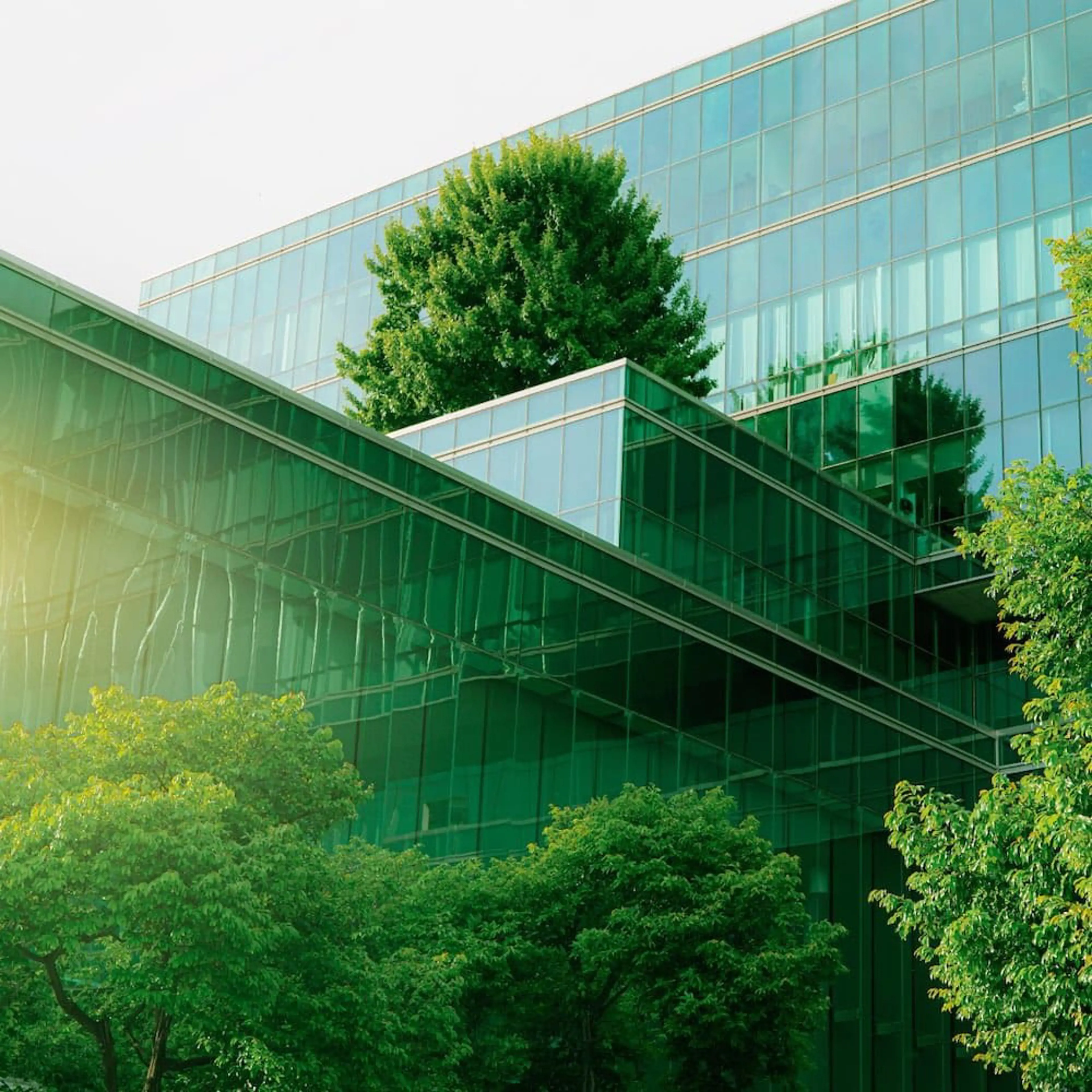 Media content for ESG-investering: At tilpasse ambitioner med handlinger