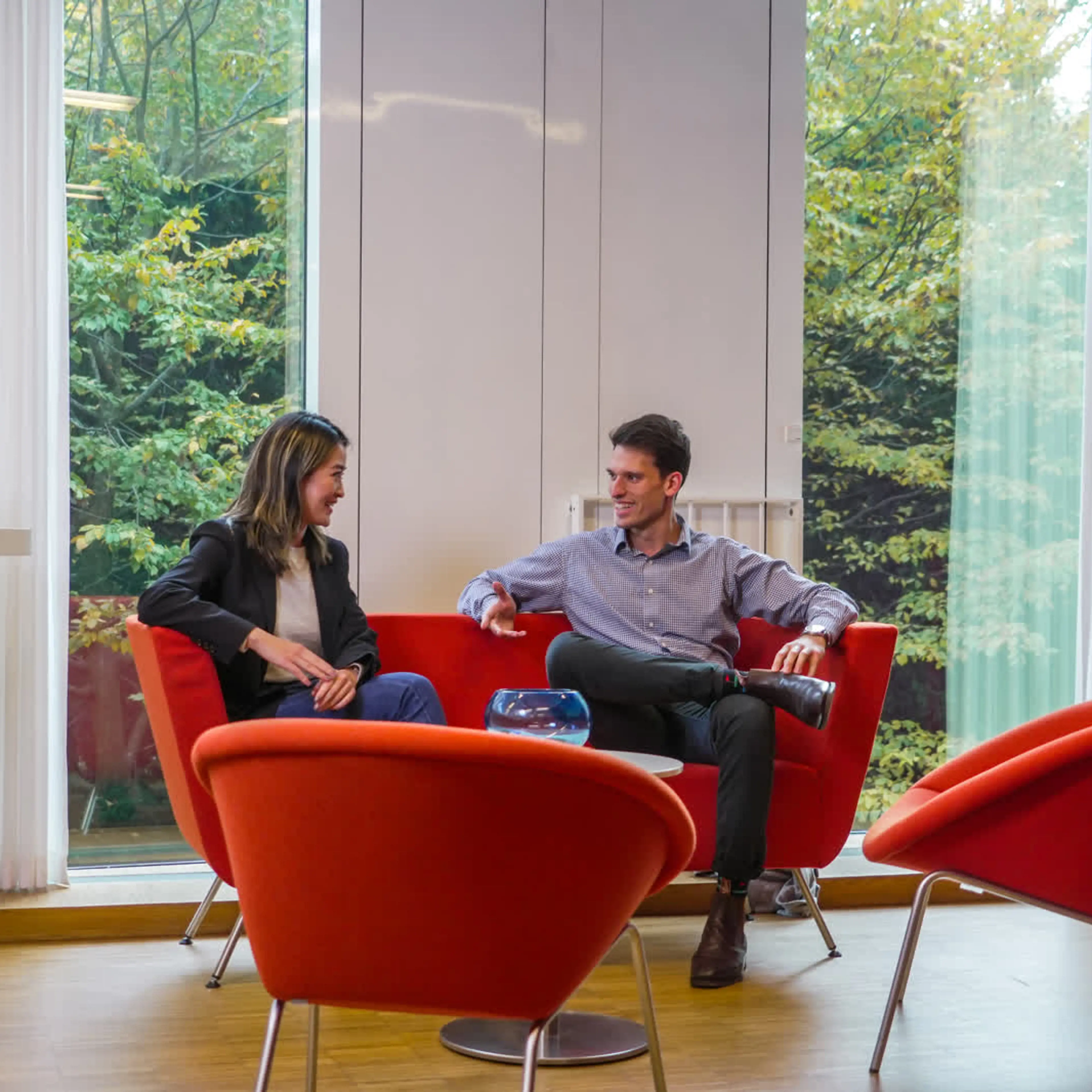 Media content for Let's meet