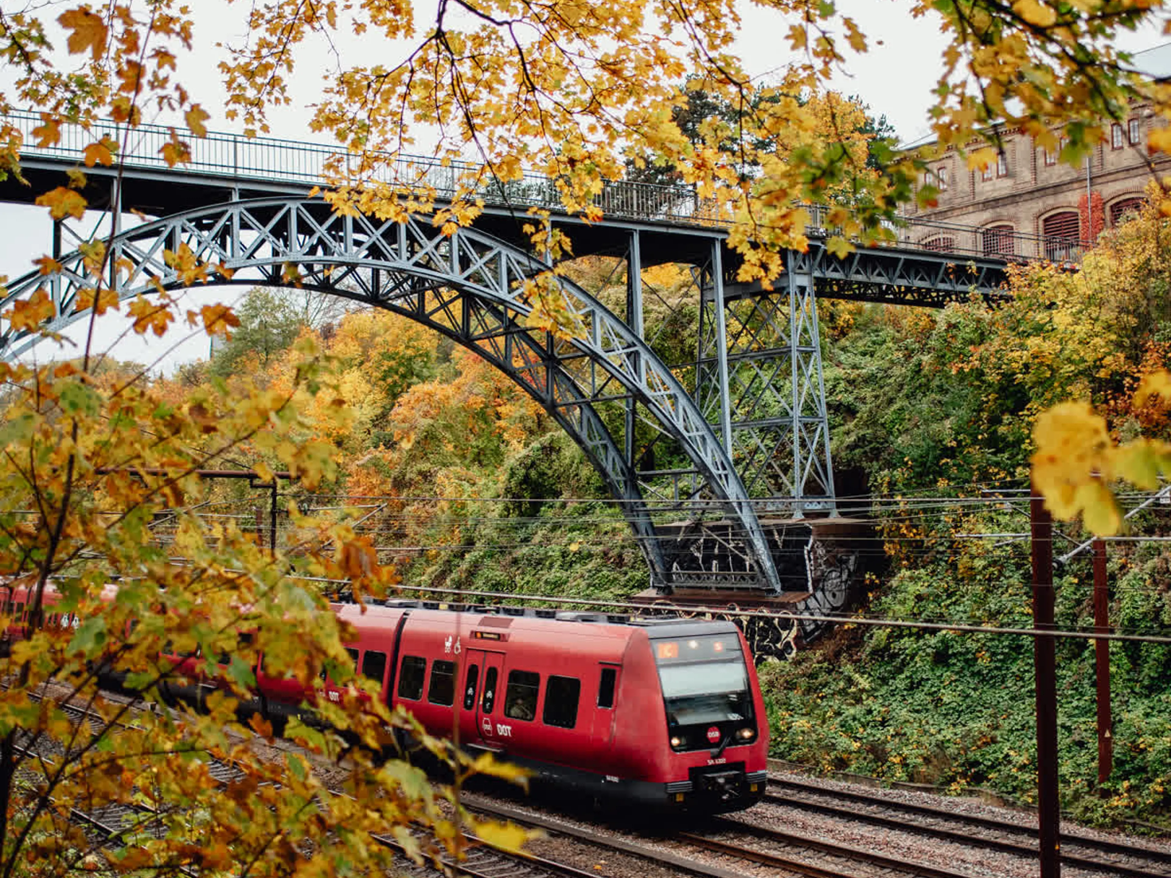 Copenhagen S-Train passing under a bridge