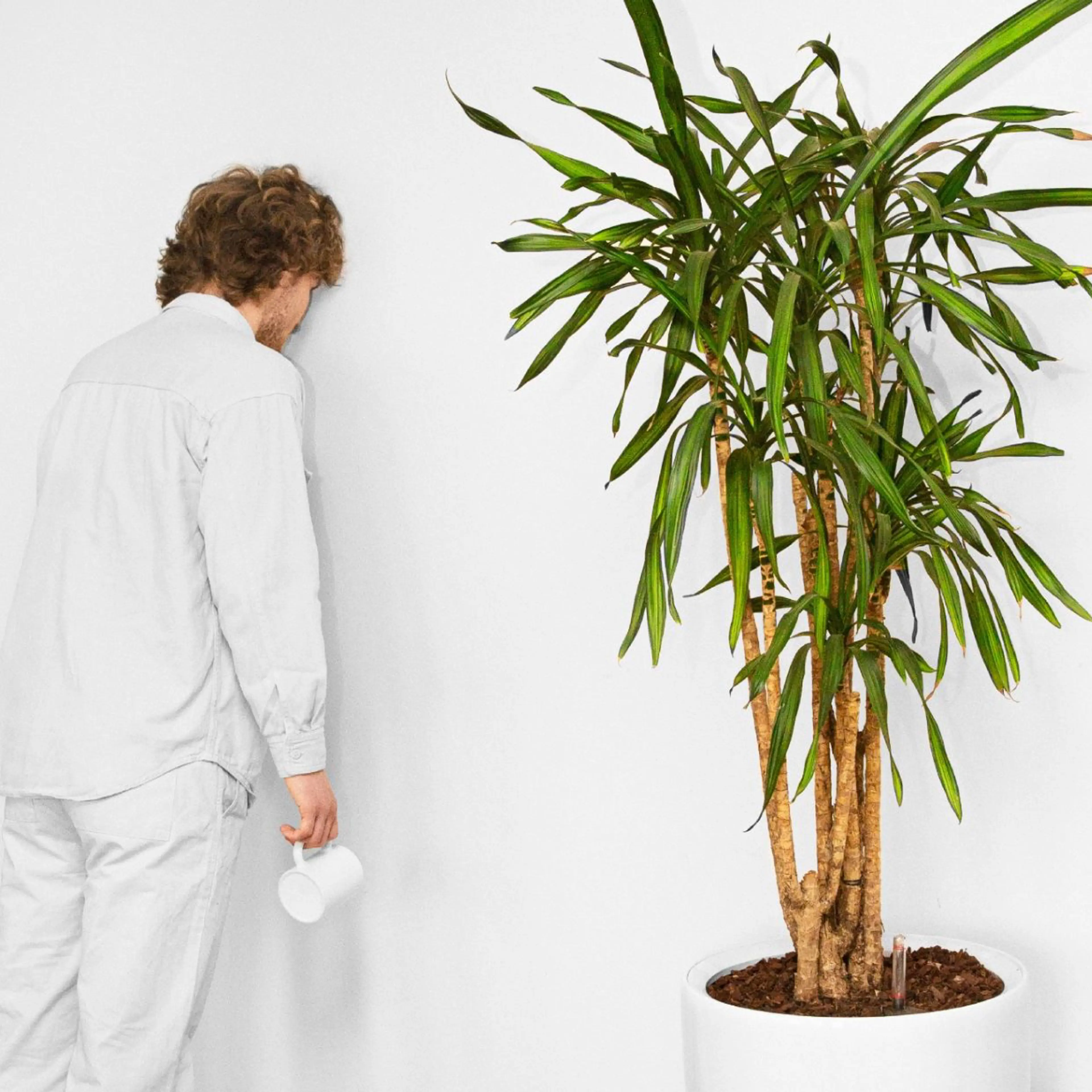 Media content for Hvis du vil forstå dig selv, må du give plads til det, du ikke forstår