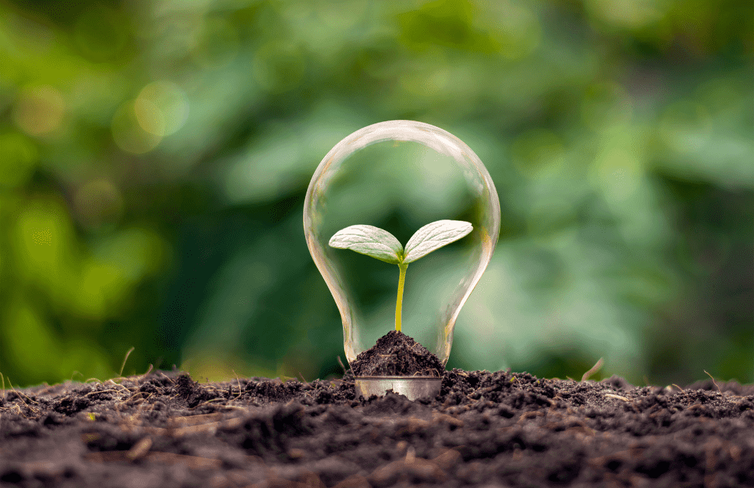 Media content for Sustainable investing: What can we learn from the Covid-19 pandemic? (Webinar Playback)