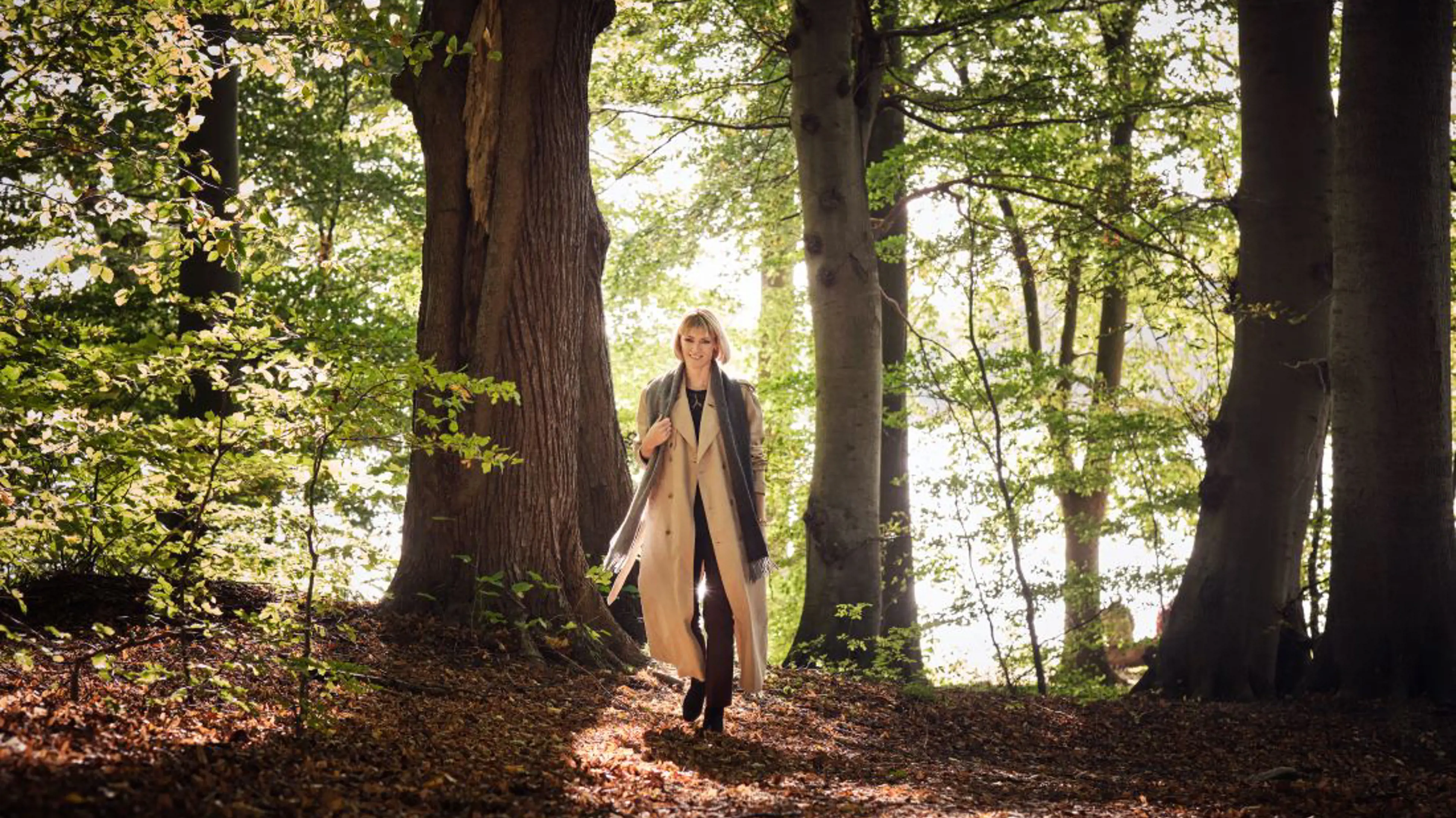 Media content for Business Intelligence II