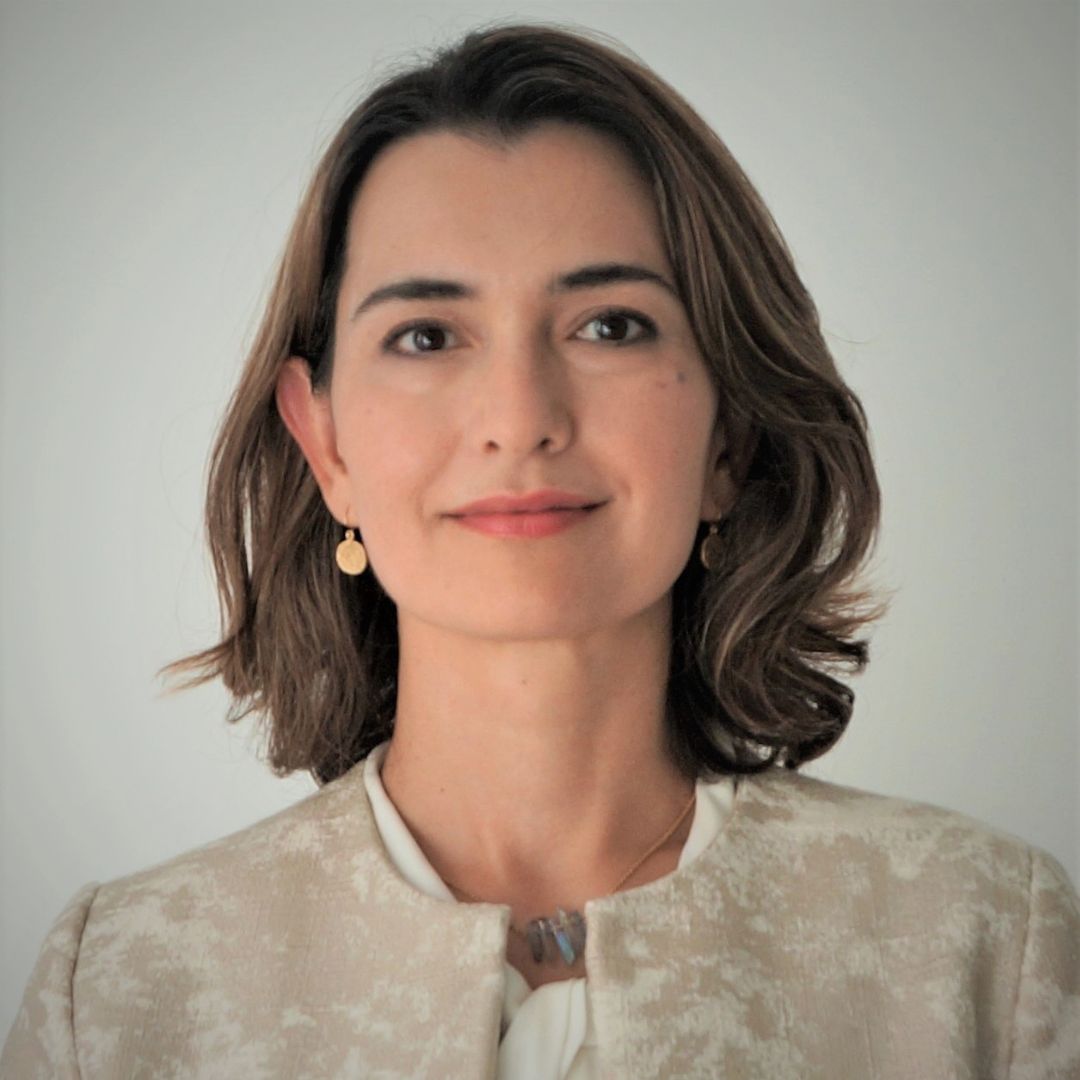 Media content for Navigating the Carbon Capture Boom, Burçin gains insights through the Executive Certificate Path