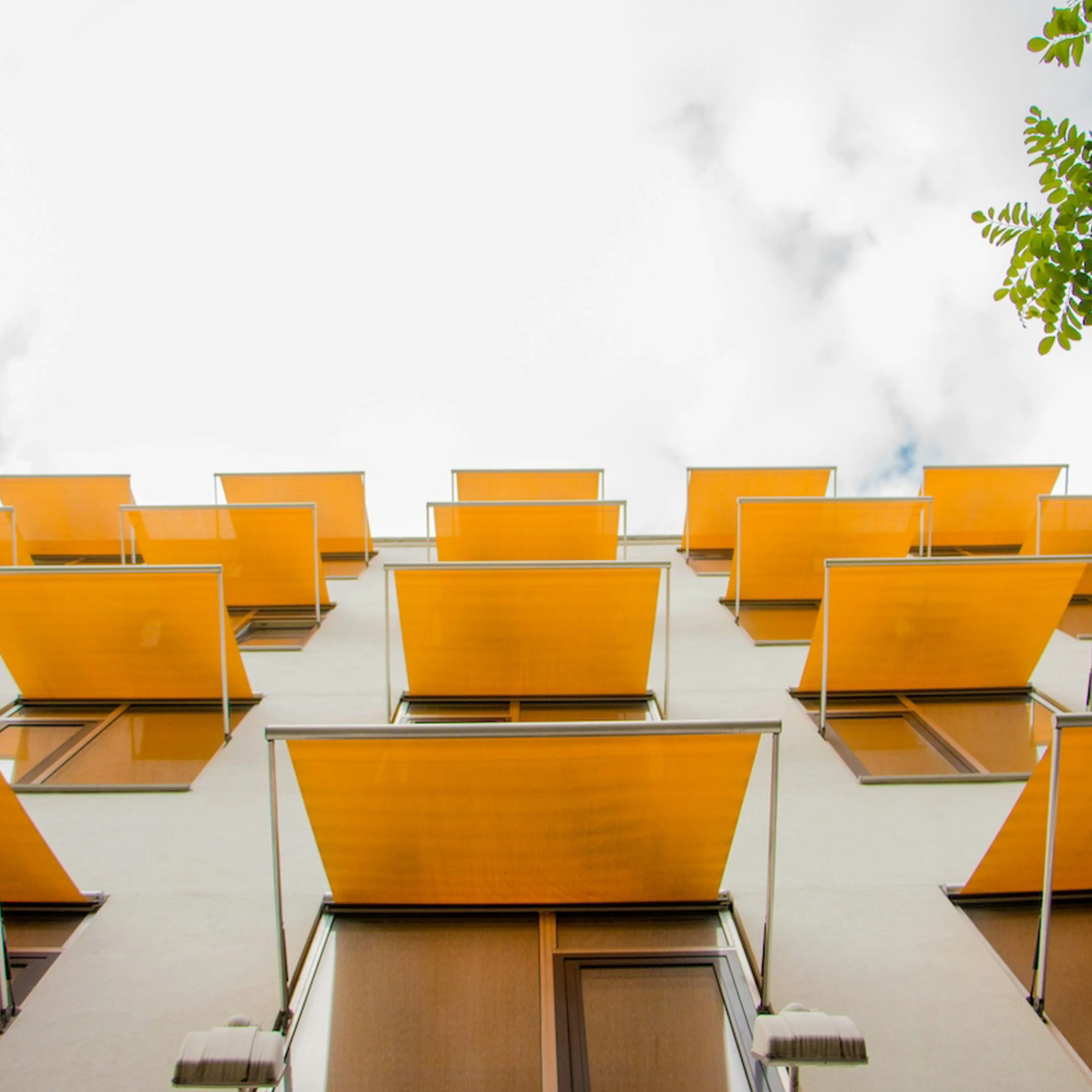 Media content for Four common features of sustainability-driven companies