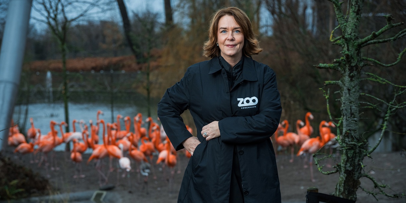Media content for Sådan endte Pernille Mehl med ansvaret for 300 medarbejdere og 4000 dyr