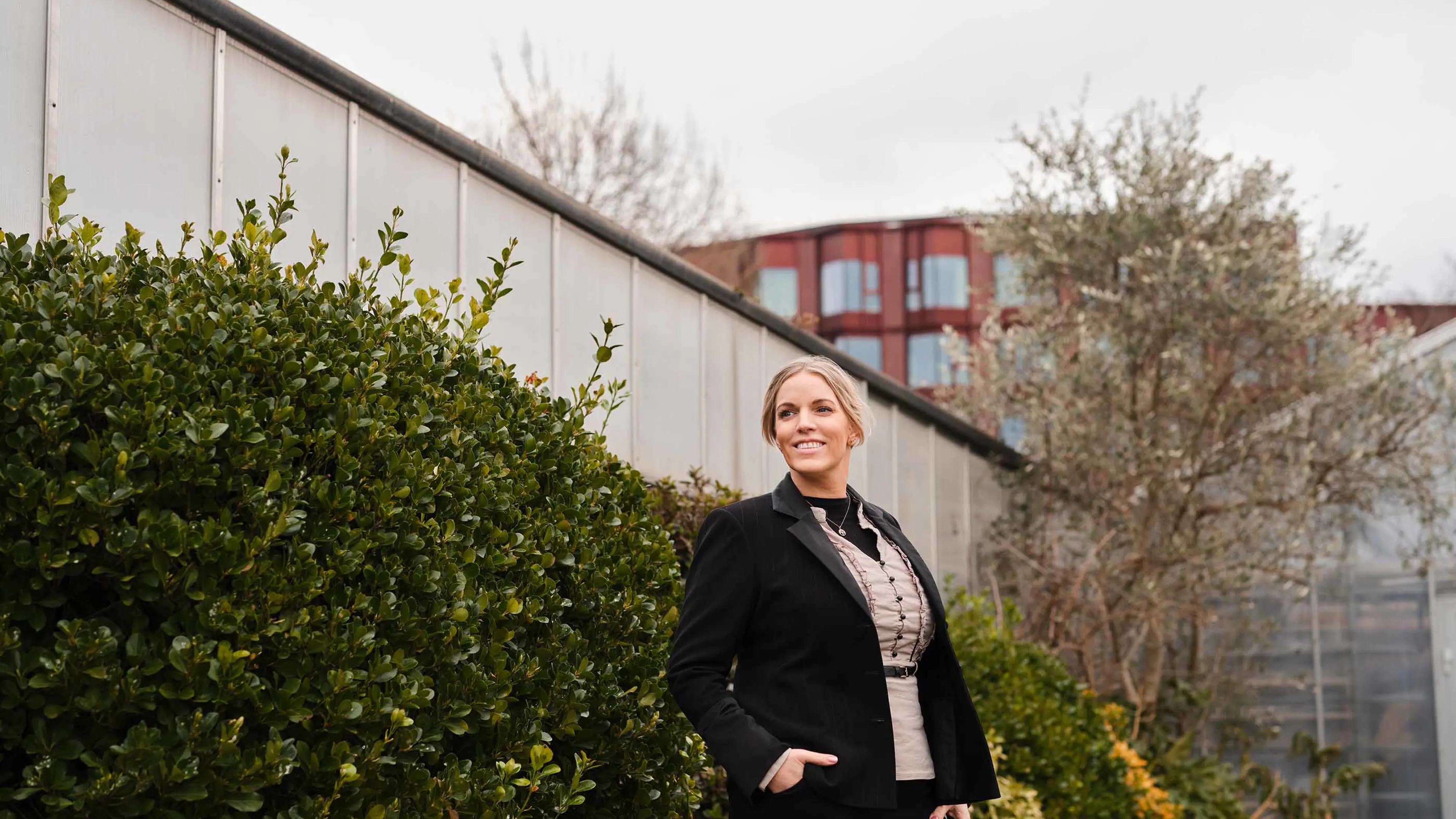 Media content for International selskabsskatteret