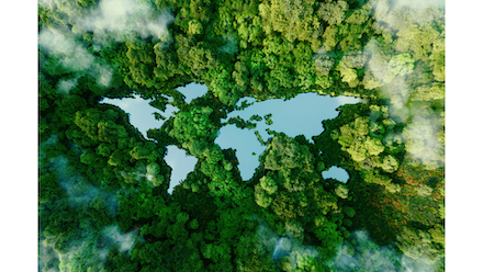 Media content for ROI for people, company and planet – delivered by an executive MBA