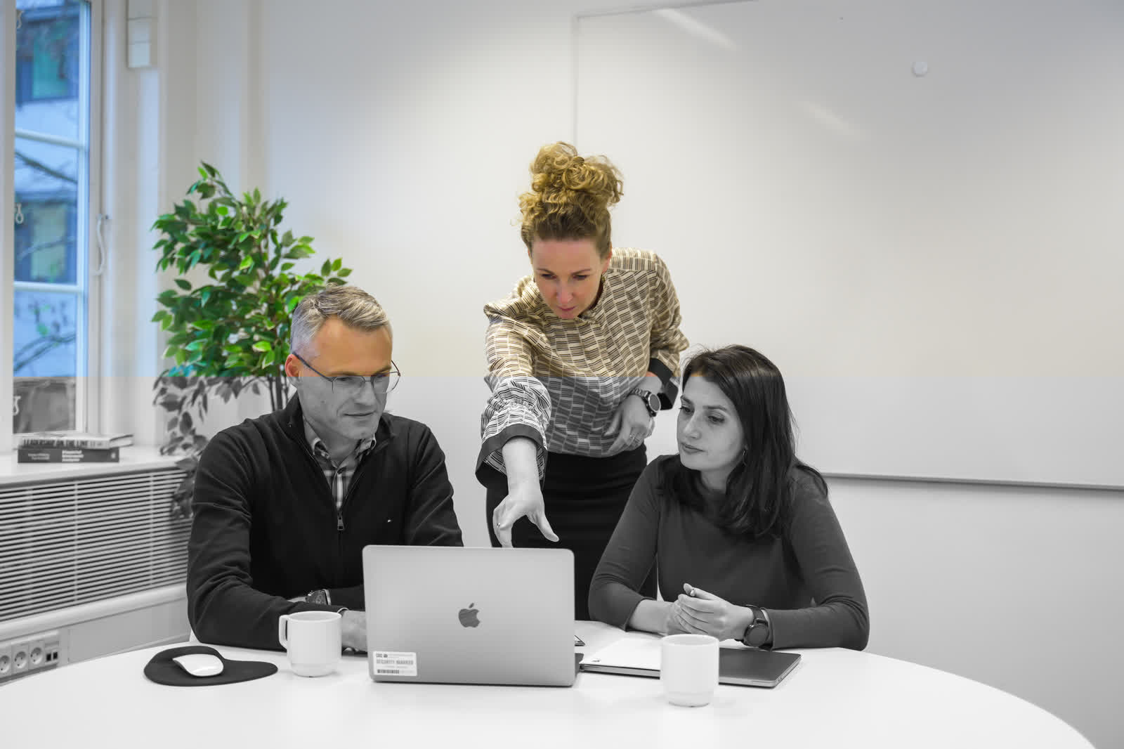 Media content for SCANDINAVIAN EXCELLENCE