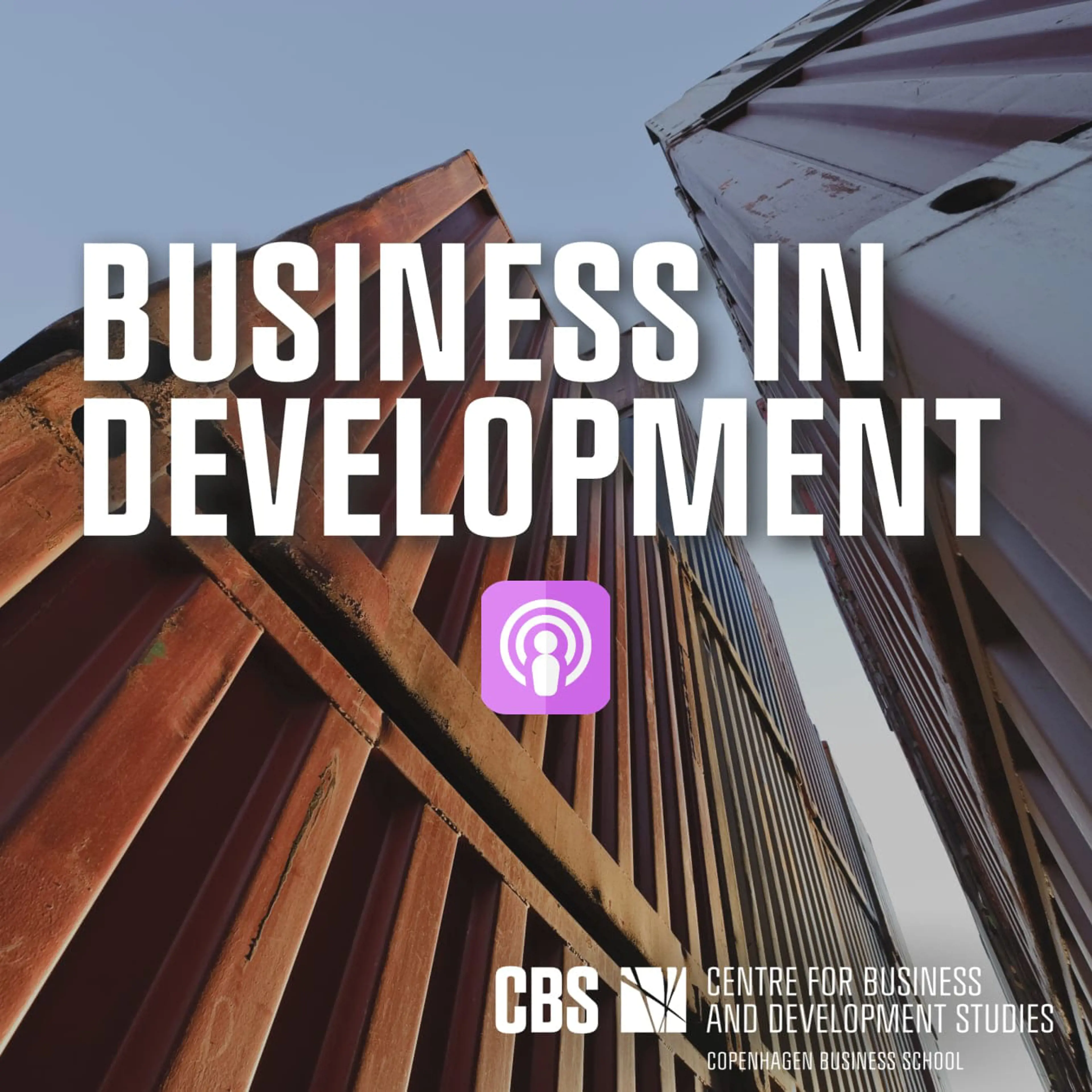 CBS centre for business and development studies