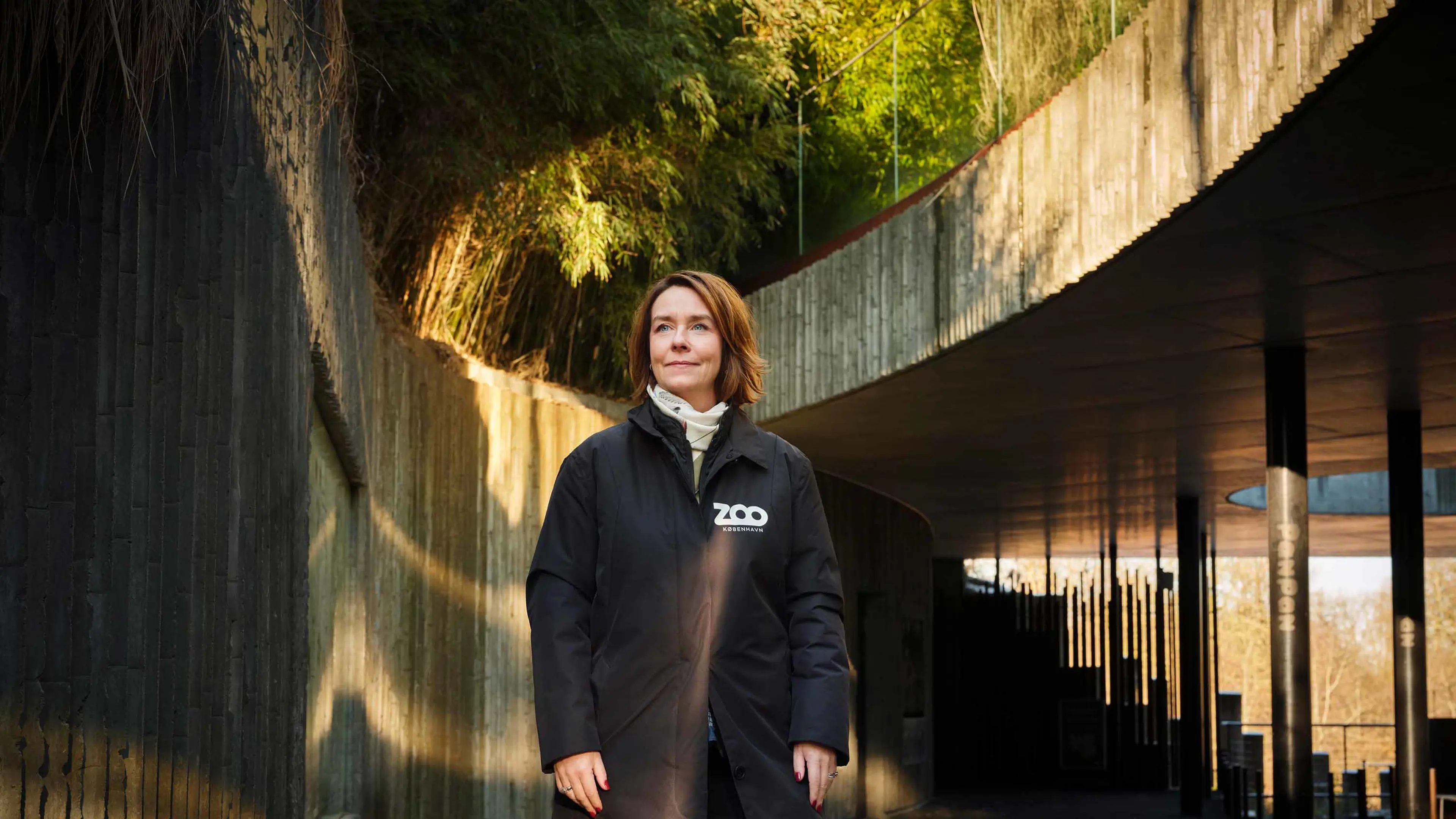 Media content for Informationsmøde 13. april 2026