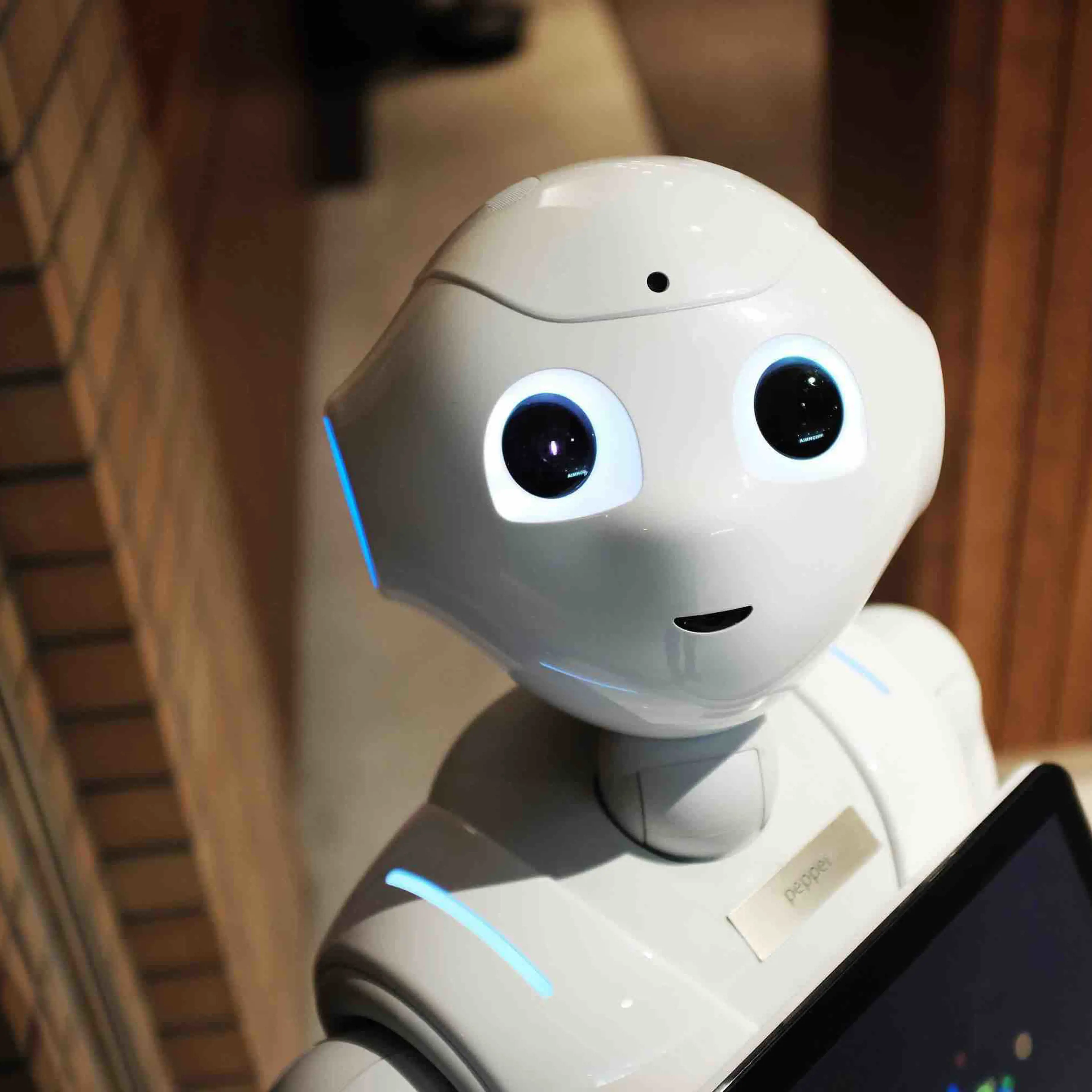 Media content for Can you spot the bots? New research says not