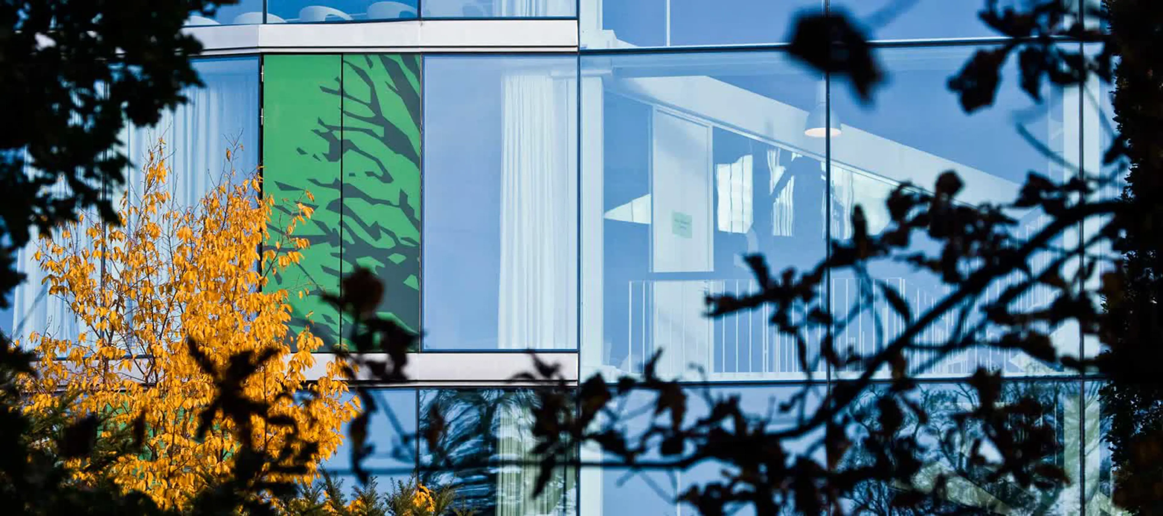 Media content for MBA programmes