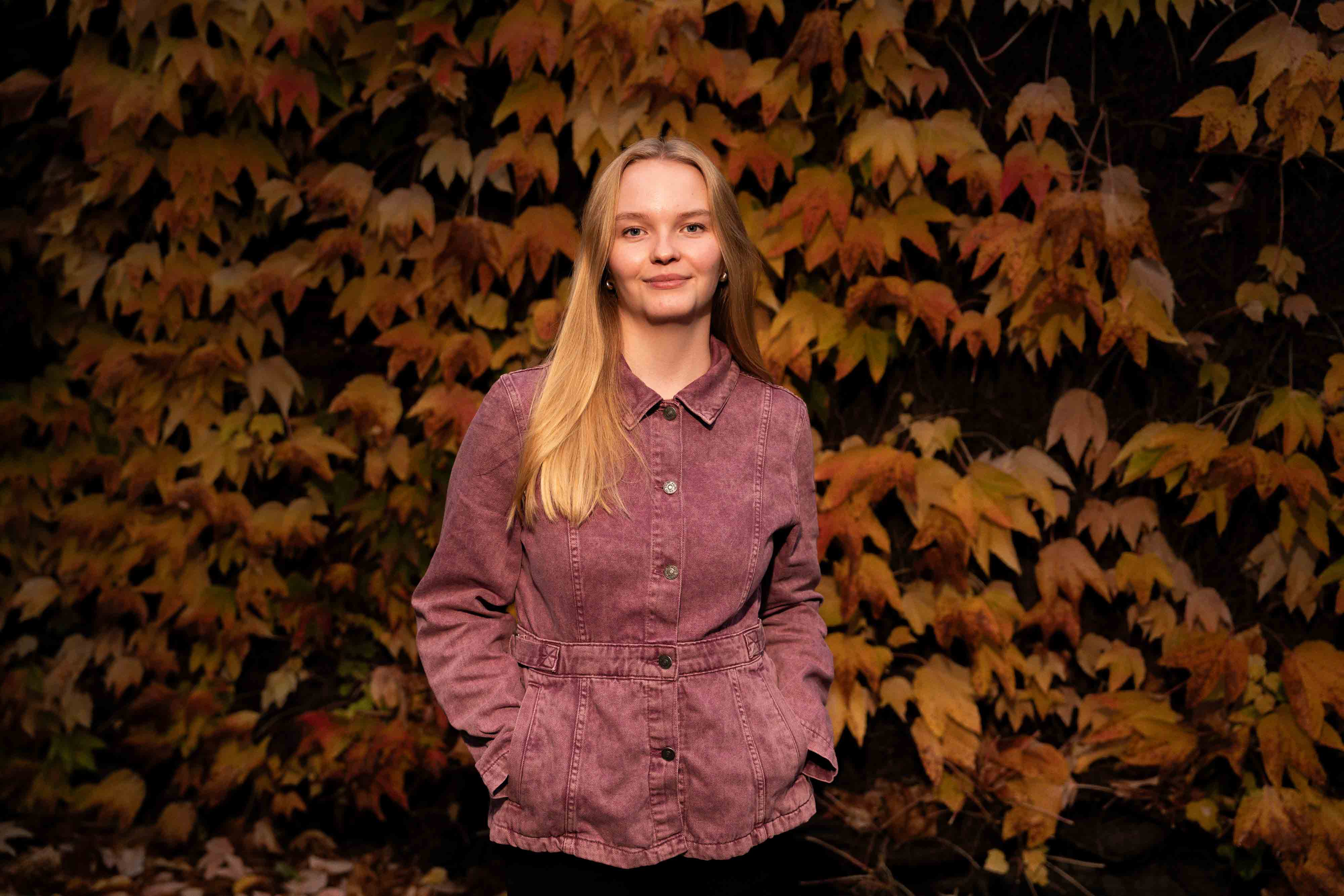 Media content for FAQ om HD1