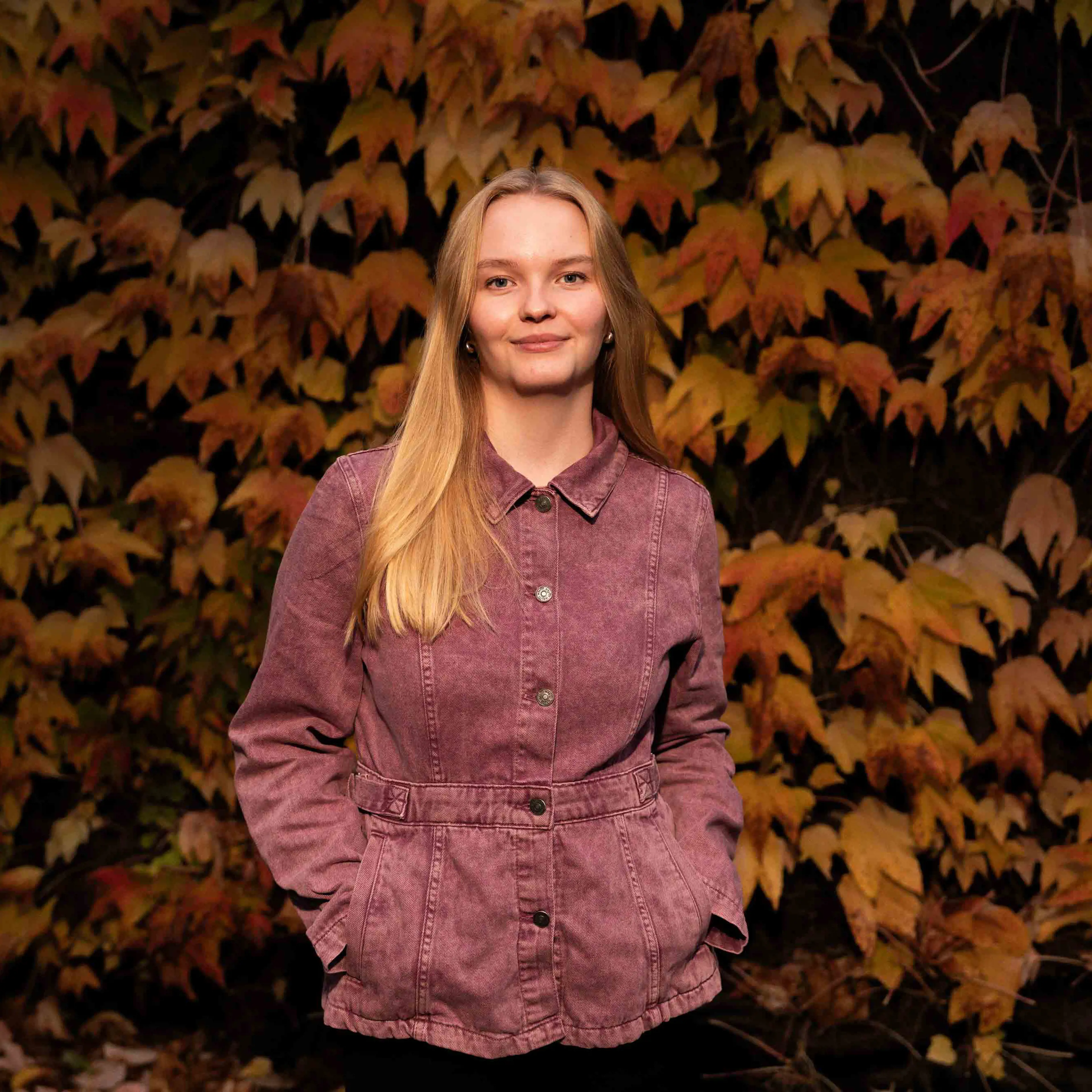 Media content for FAQ om HD1